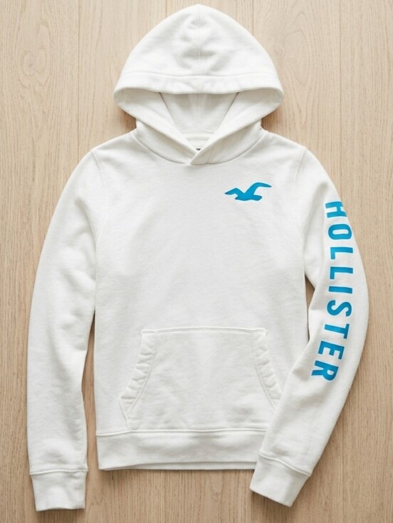 Hollister Tops - Hollister Size XL White Blue Graphic Seagull Sleeve Logo Pullover Hoodie Y2K